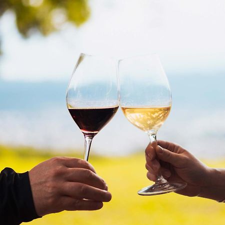 Altos De La Vina, Wine Hotel & Spa San Salvador de Jujuy Ngoại thất bức ảnh