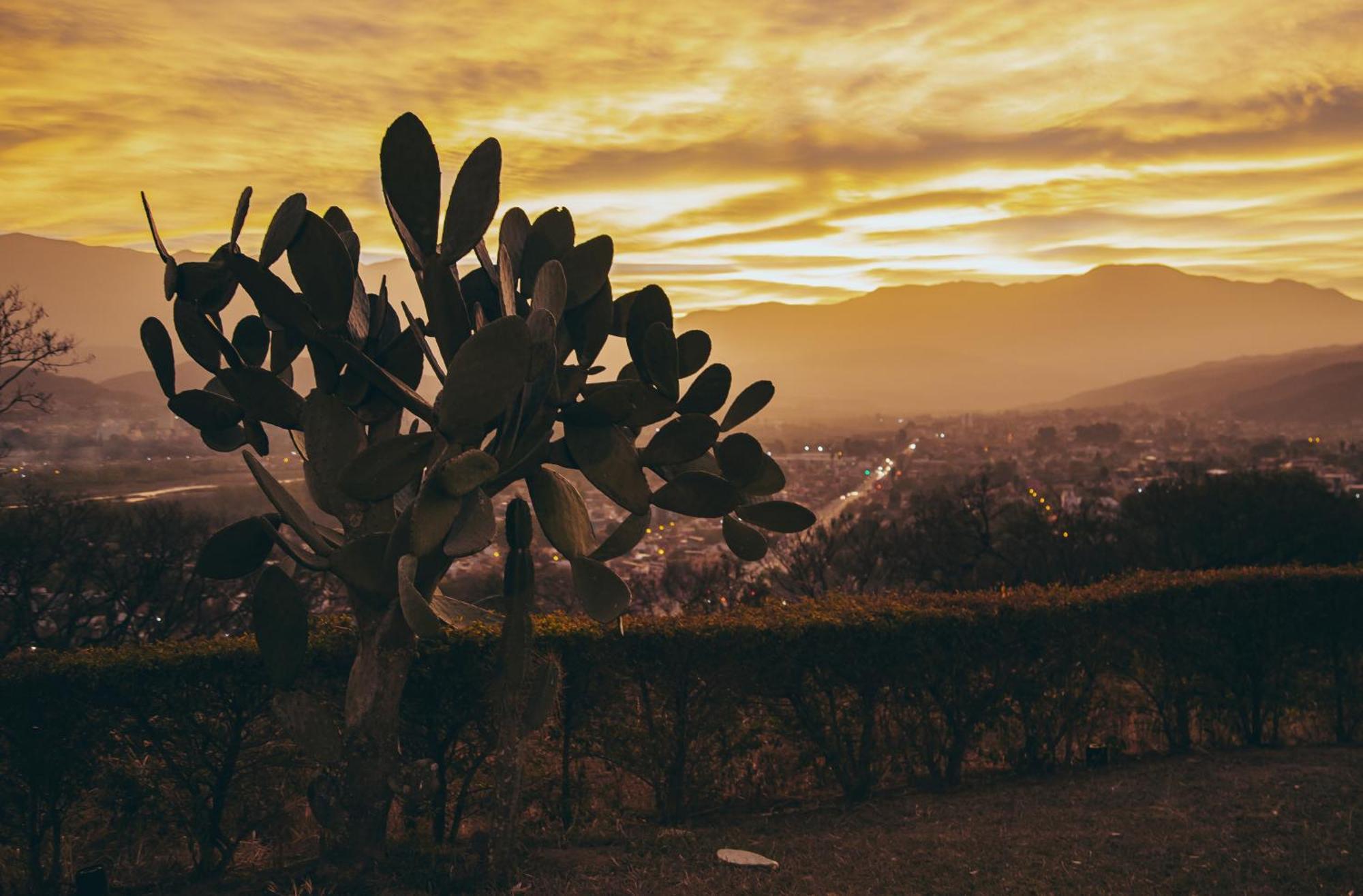 Altos De La Vina, Wine Hotel & Spa San Salvador de Jujuy Ngoại thất bức ảnh