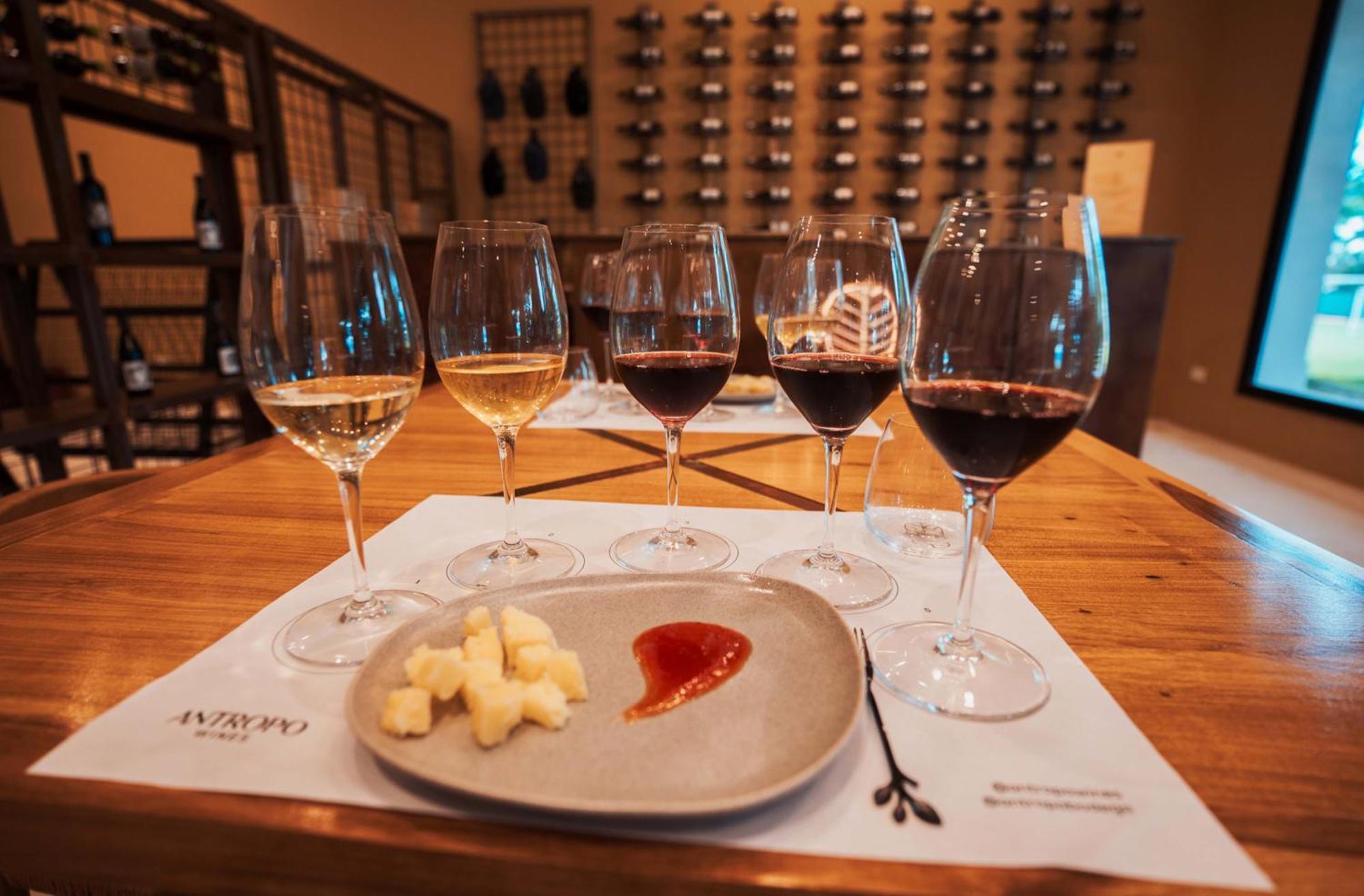 Altos De La Vina, Wine Hotel & Spa San Salvador de Jujuy Ngoại thất bức ảnh